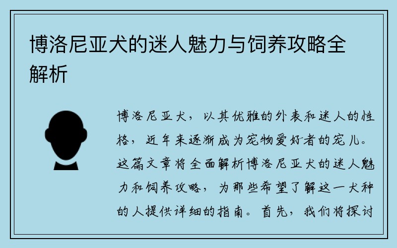 博洛尼亚犬的迷人魅力与饲养攻略全解析