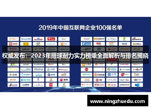 权威发布：2023年排球耐力实力榜单全面解析与排名揭晓