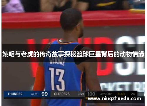 姚明与老虎的传奇故事探秘篮球巨星背后的动物情缘