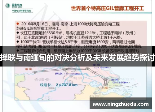 掸联与南缅甸的对决分析及未来发展趋势探讨