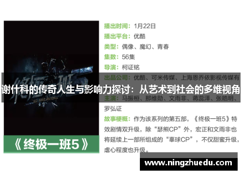谢什科的传奇人生与影响力探讨：从艺术到社会的多维视角